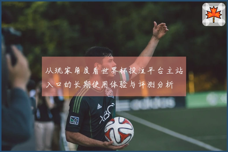 从玩家角度看世界杯投注平台主站入口的长期使用体验与评测分析
