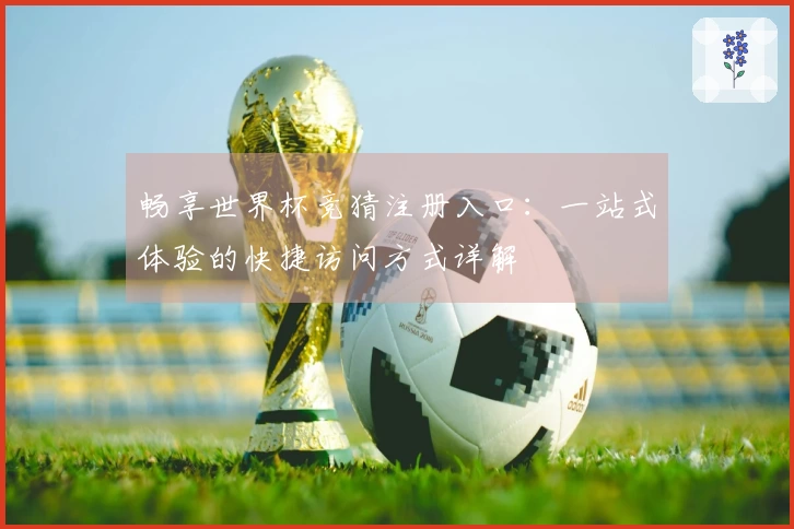 畅享世界杯竞猜注册入口：一站式体验的快捷访问方式详解