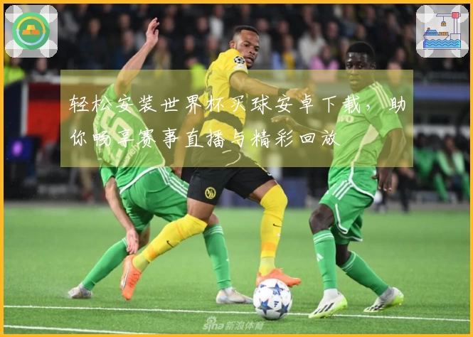 轻松安装世界杯买球安卓下载，助你畅享赛事直播与精彩回放