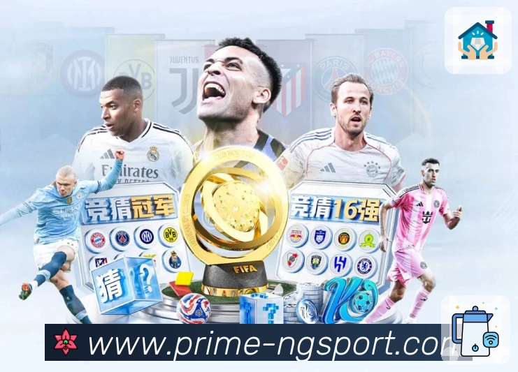 <strong>NG体育</strong>App 页面展示